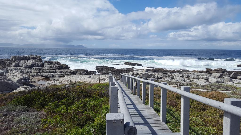 Whale View Self Catering Apartment Hermanus Luaran gambar